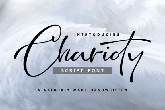 Charioty: A Script Font That Elevates Campaign Headlines