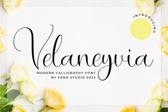 Velaneyvia: The Font That Elevates Your Campaigns