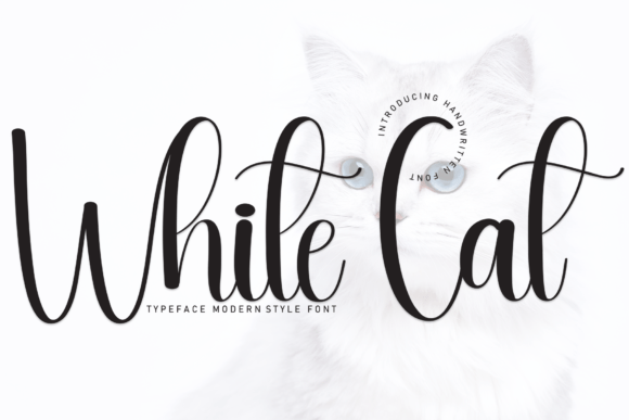 White Cat: A Friendly Handwritten Font for Clear, Warm Campaign Messaging